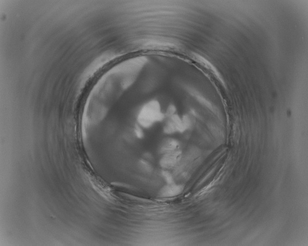 X0000061751027200512231520