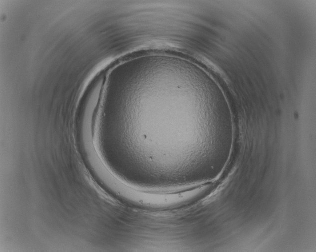 X0000061751029200512231520