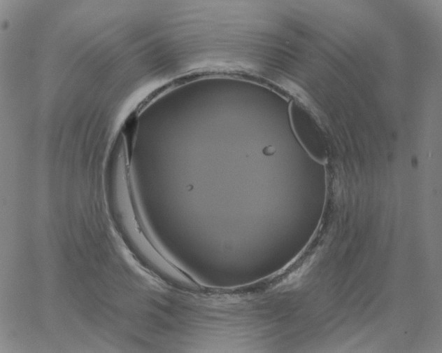 X0000061751030200512231520