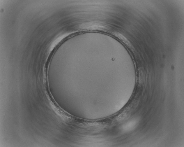 X0000061751031200512231520