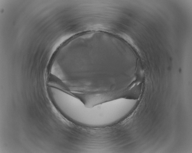 X0000061751032200512231520