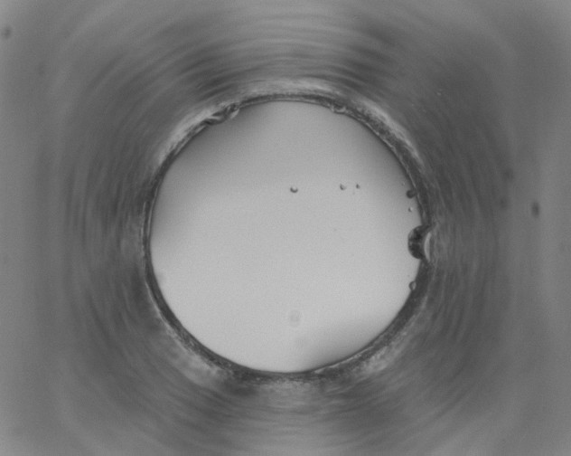 X0000061751033200512231520