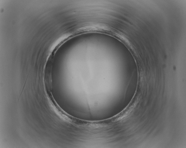 X0000061751034200512231520