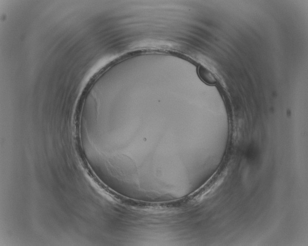 X0000061751037200512231520