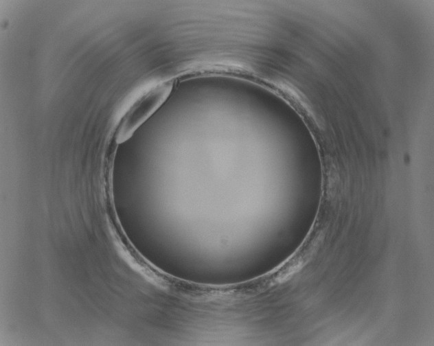 X0000061751038200512231520