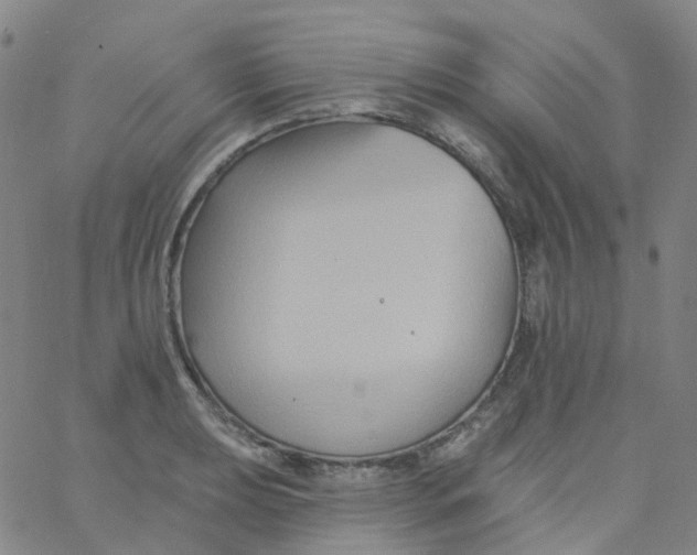 X0000061751039200512231520