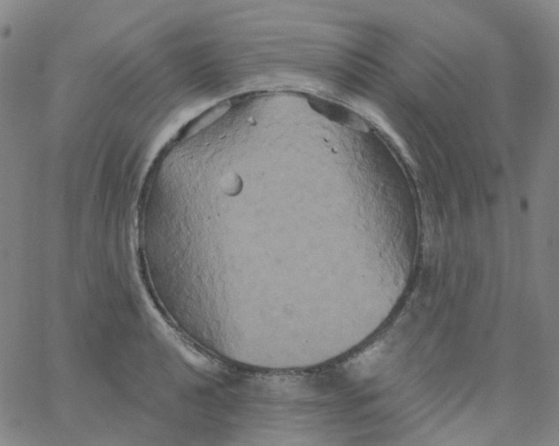 X0000061751040200512231520