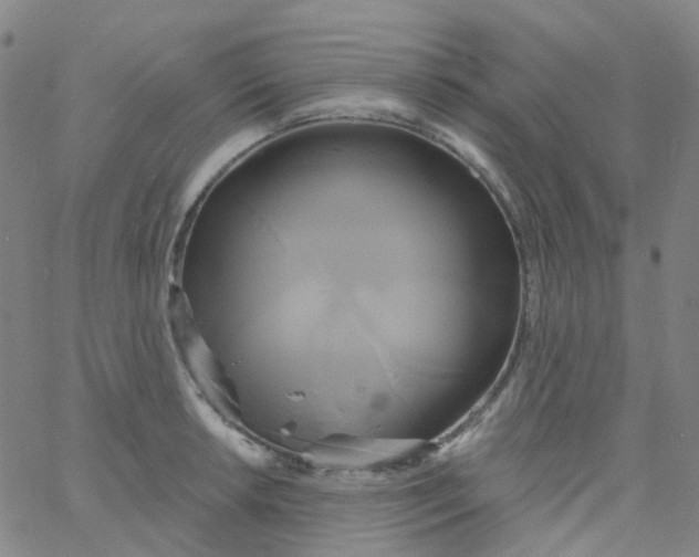 X0000061751042200512231520