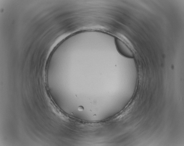 X0000061751044200512231520