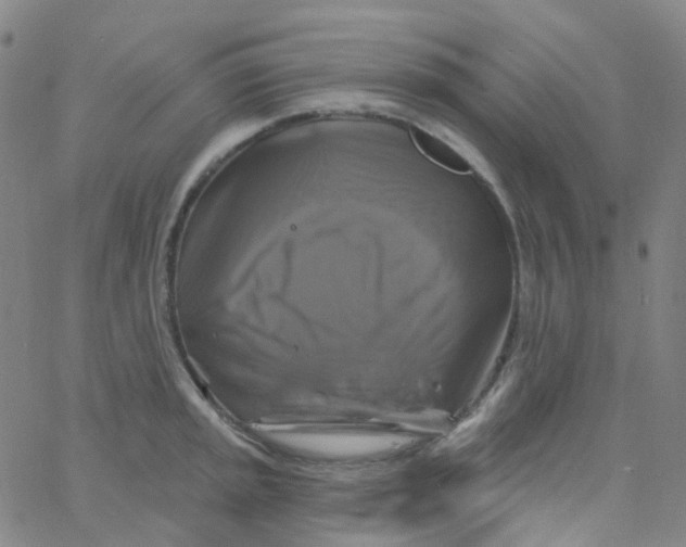 X0000061751045200512231520