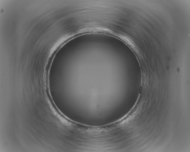 X0000061751046200512231520