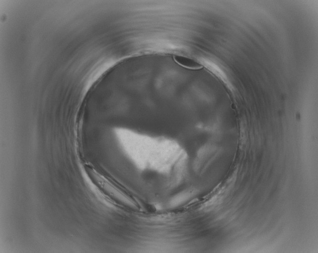 X0000061751047200512231520