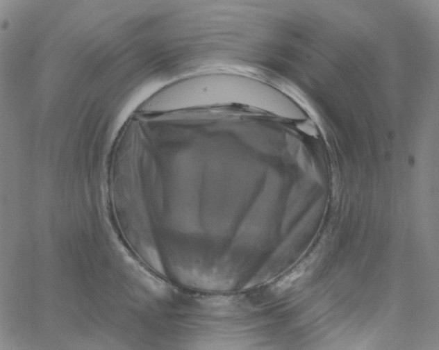 X0000061751048200512231520