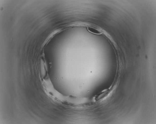 X0000061751049200512231520