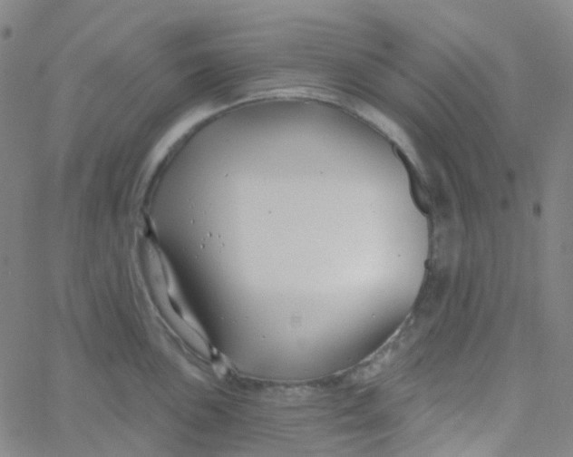 X0000061751051200512231521