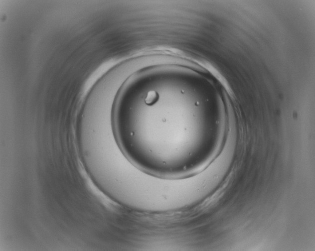 X0000061751054200512231521