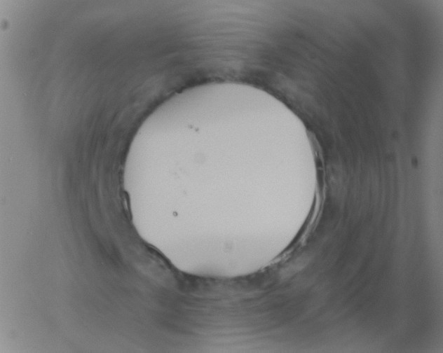 X0000061751057200512231520