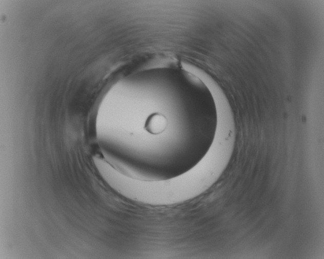 X0000061751058200512231520