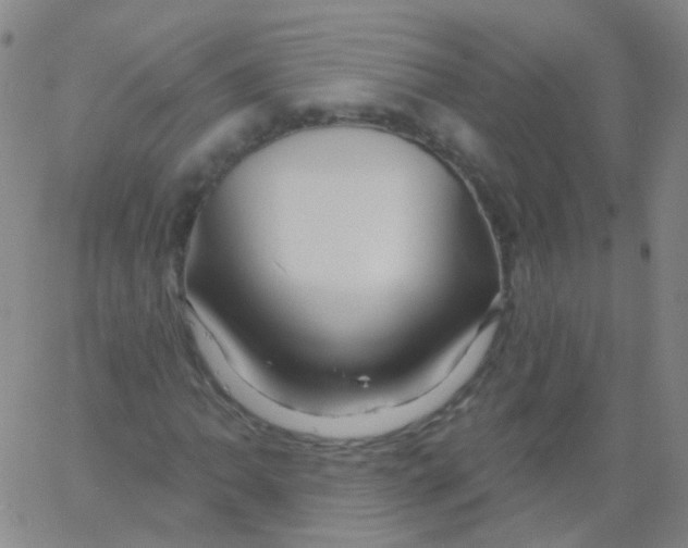 X0000061751062200512231520