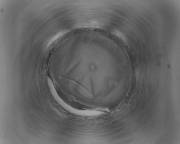 X0000061751064200512231520