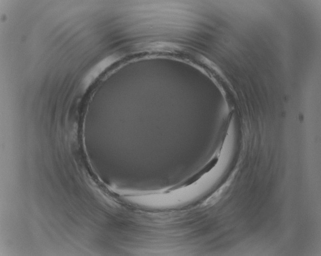 X0000061751066200512231520