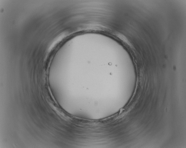 X0000061751067200512231520