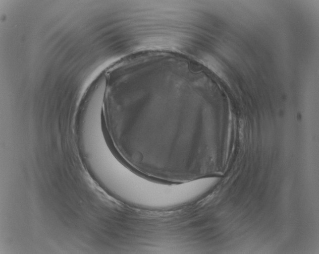 X0000061751068200512231520