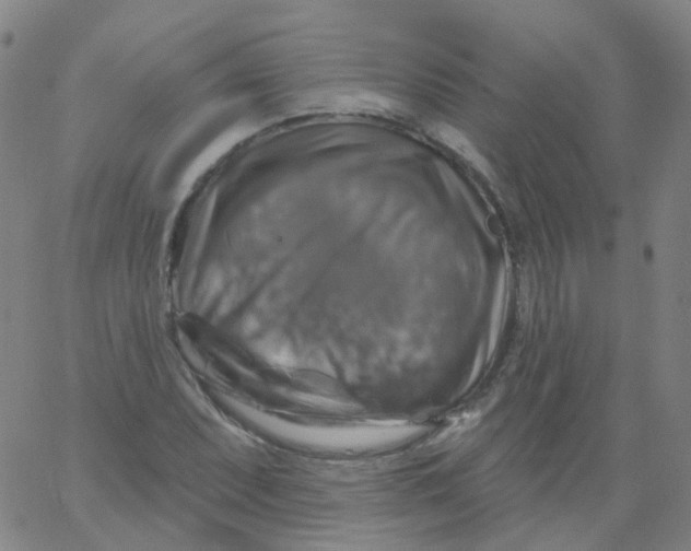 X0000061751071200512231520