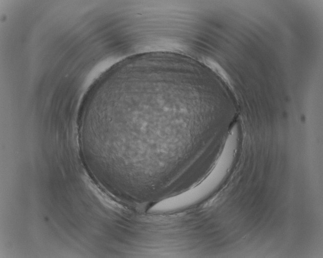 X0000061751072200512231520