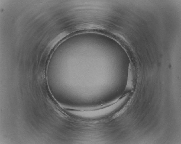 X0000061751073200512231520