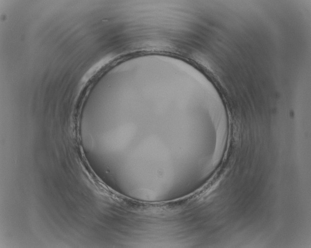 X0000061751074200512231520