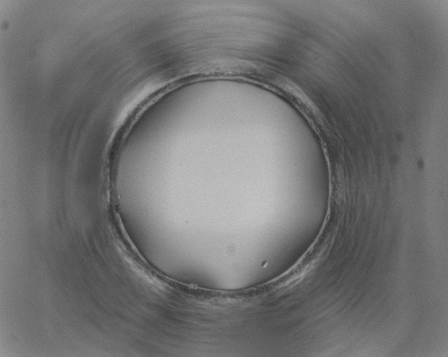 X0000061751075200512231520