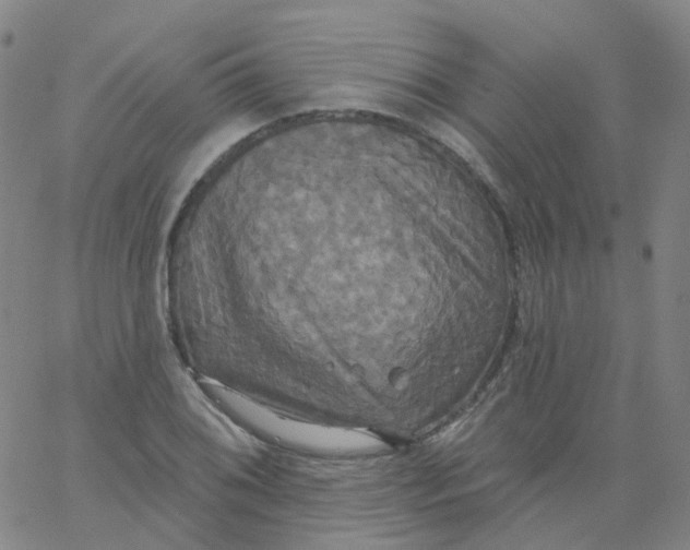 X0000061751076200512231520