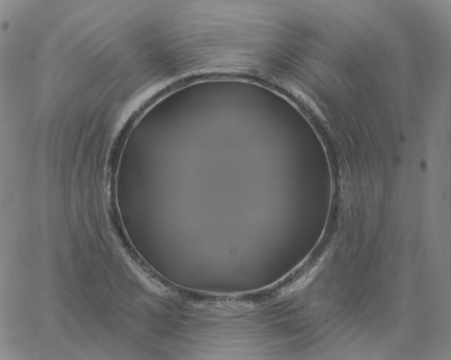 X0000061751077200512231519