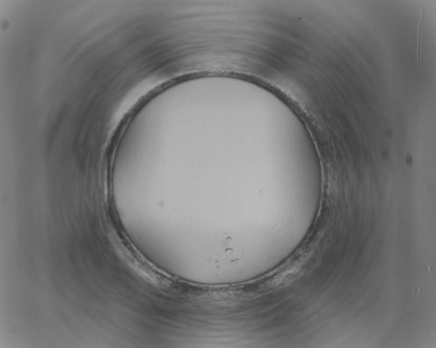 X0000061751078200512231519