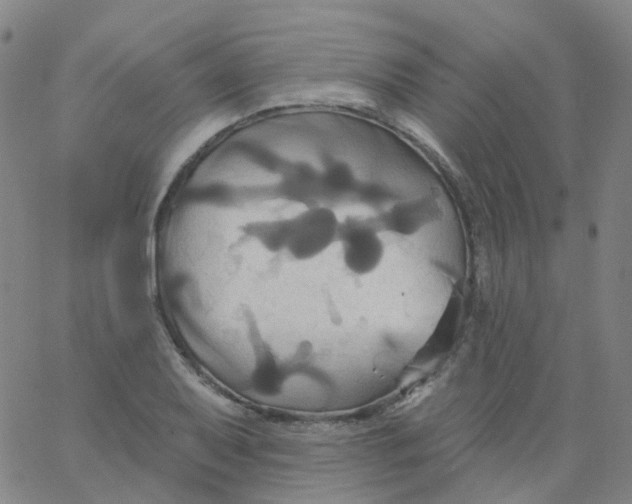 X0000061751079200512231519