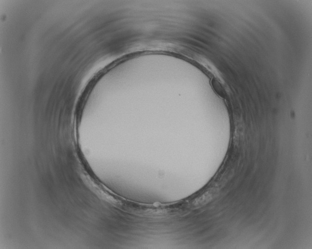 X0000061751080200512231519