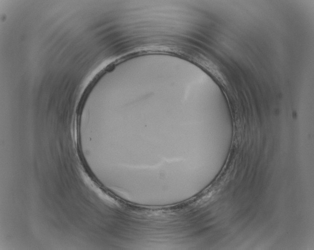 X0000061751084200512231519