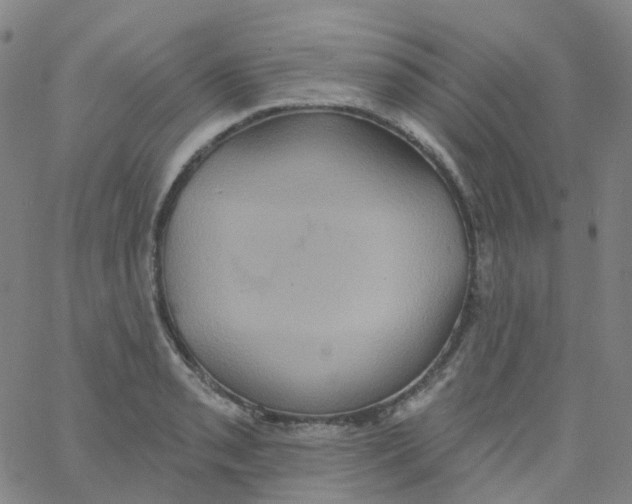 X0000061751085200512231519