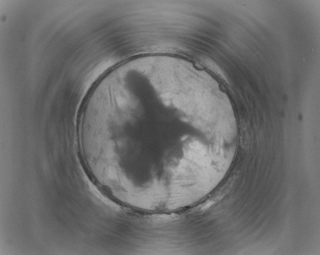 X0000061751087200512231519