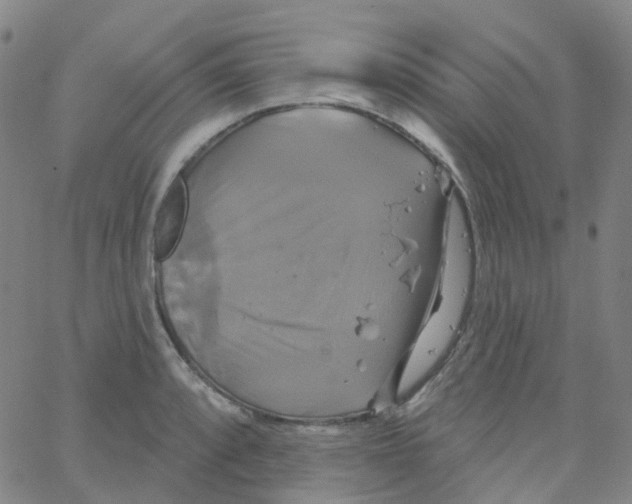 X0000061751088200512231519