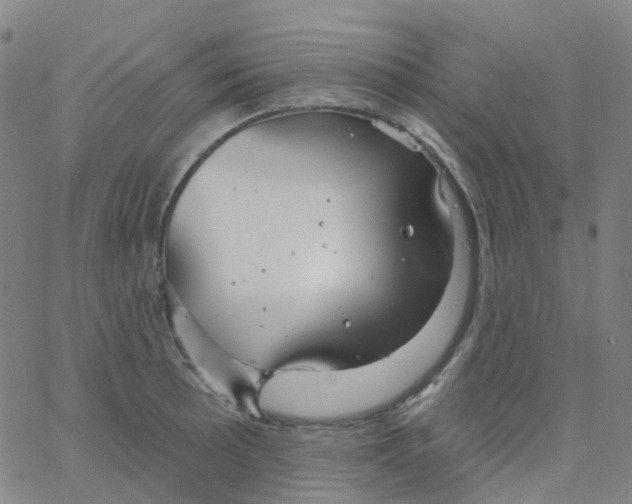 X0000061751089200512231519