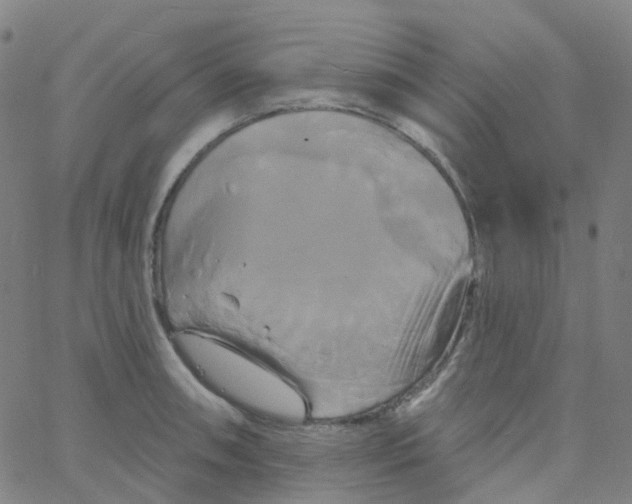 X0000061751090200512231519