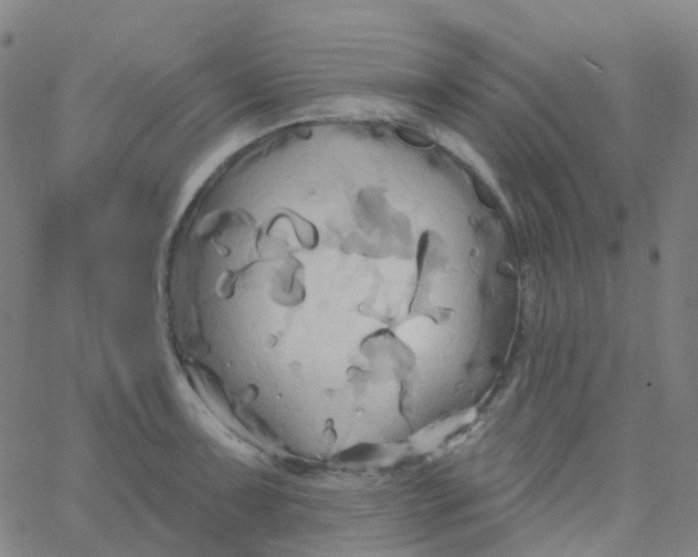 X0000061751091200512231519