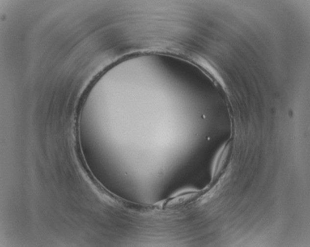 X0000061751093200512231519