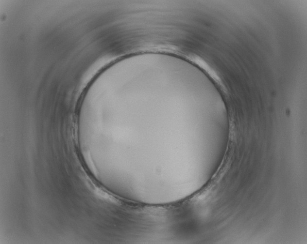 X0000061751094200512231519