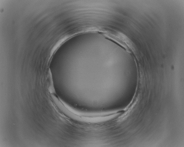 X0000061751097200512231519