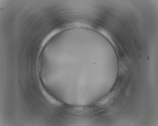 X0000061751098200512231519