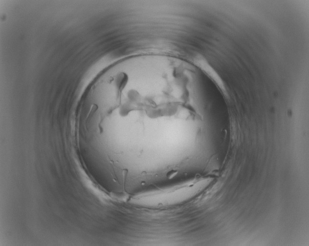 X0000061751099200512231519