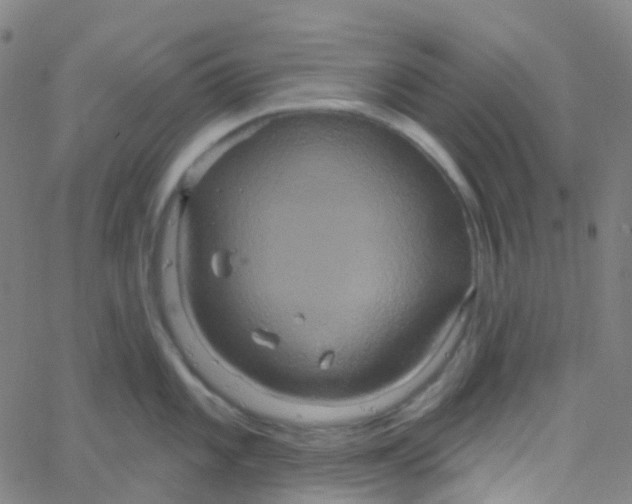 X0000061751101200512231519